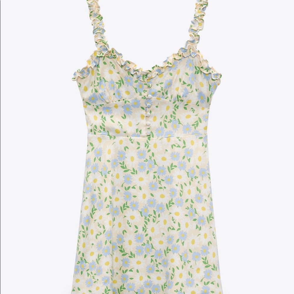 Zara Effect Satin Print Dress